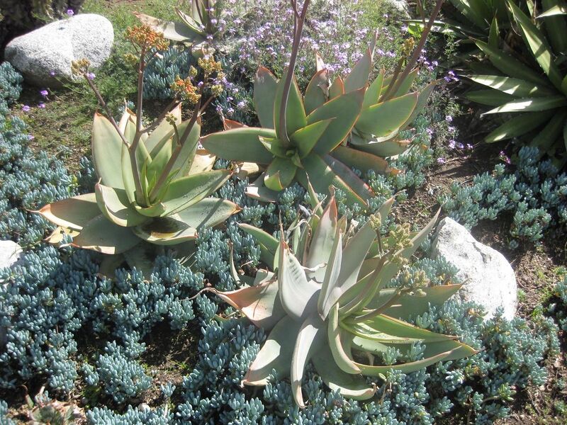 File:1280px-IMG 2284 hunt0903.jpg