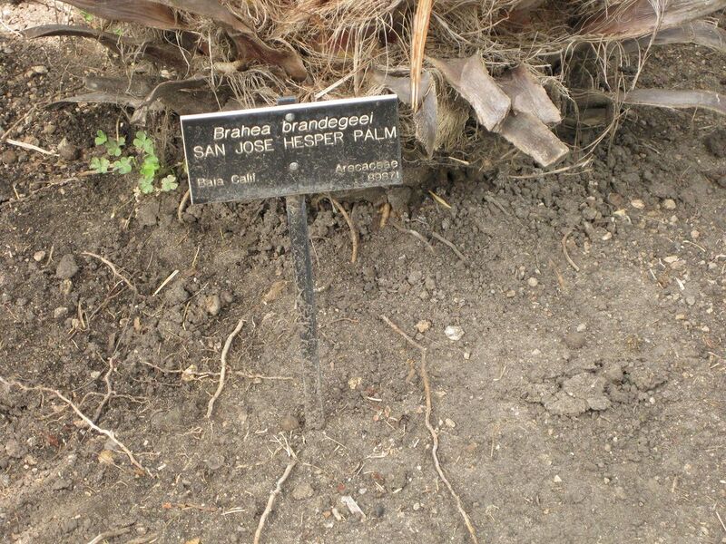 File:1280px-IMG 4127 hunt0904.jpg