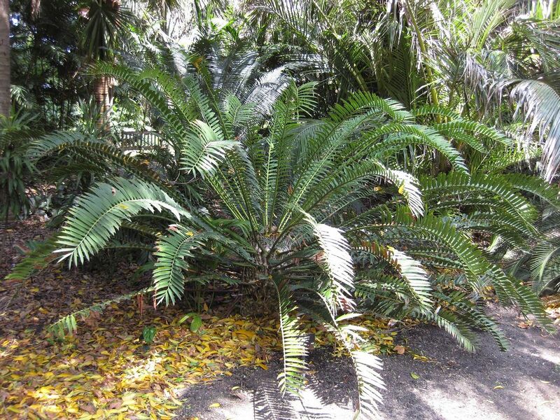 File:1280px-IMG 4175 hunt0904.jpg