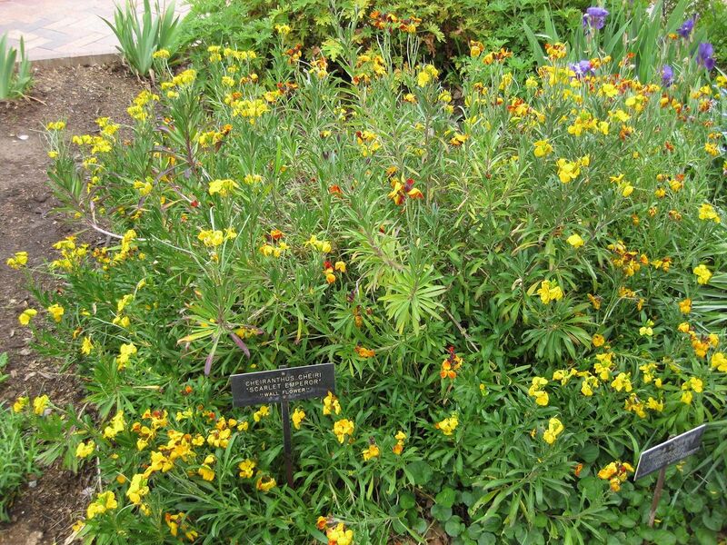 File:1280px-IMG 5284 hunt0904.jpg