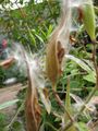 Thumbnail for version as of 17:45, 27 November 2009