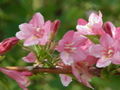 Thumbnail for version as of 16:55, 13 October 2007
