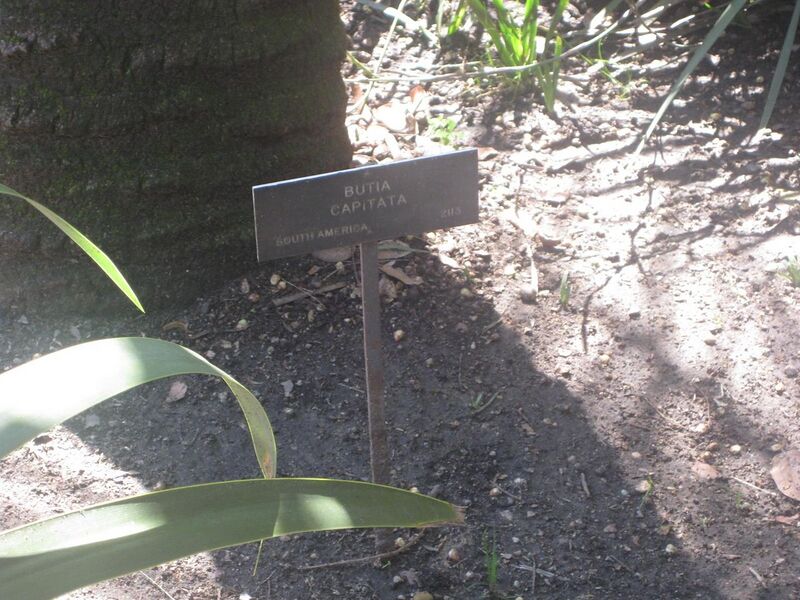 File:1280px-IMG 2067 hunt0903.jpg