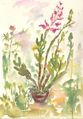 Painting of a typical Dendrobium, by I. V. Passmoore; probably the hybrid Dendrobium Lucky Seven