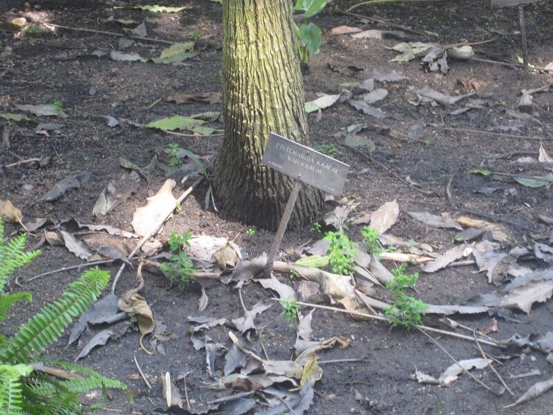 File:1024px-IMG 2016 hunt0903.jpg