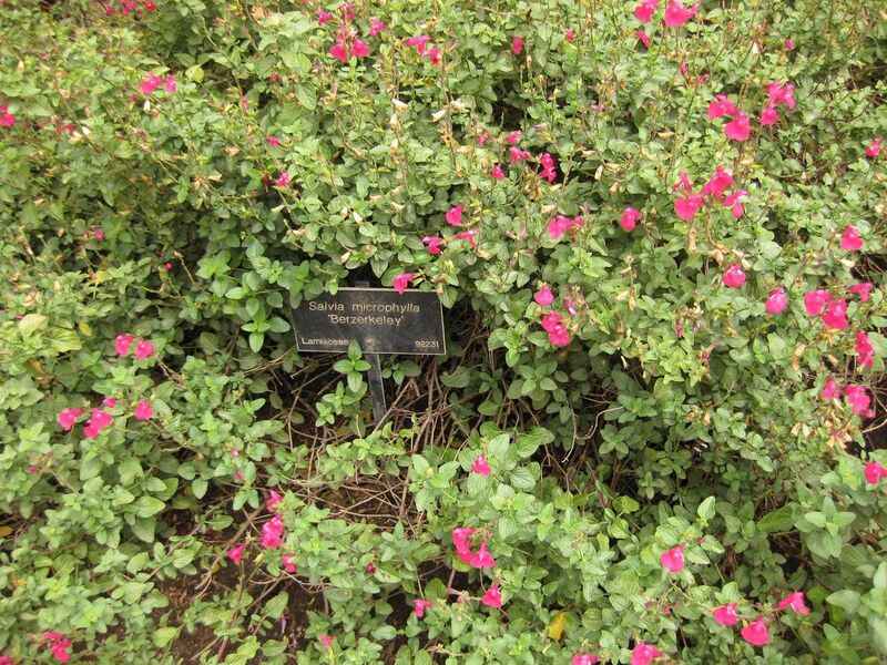 File:1280px-IMG 7135 hunt09jun.jpg