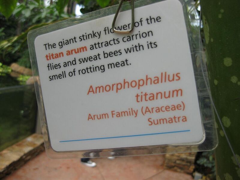 File:1280px-IMG 7586 hunt09jun.jpg