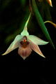Thumbnail for version as of 11:18, 10 July 2007