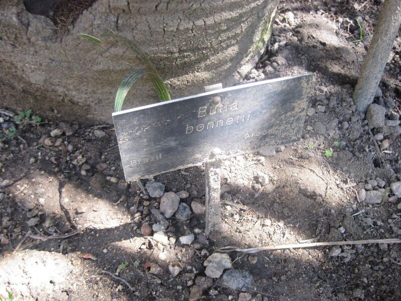 File:1024px-IMG 2120 hunt0903.jpg