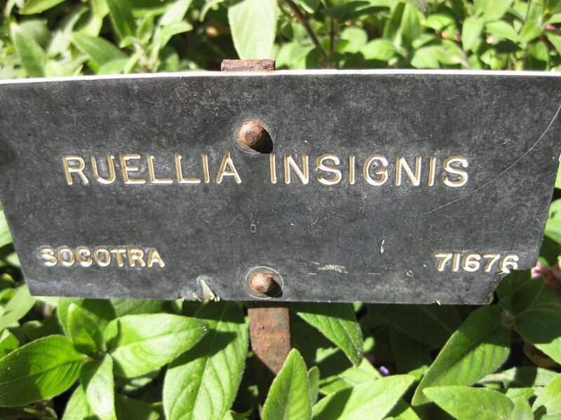 File:1280px-IMG 1931 hunt09oct.jpg