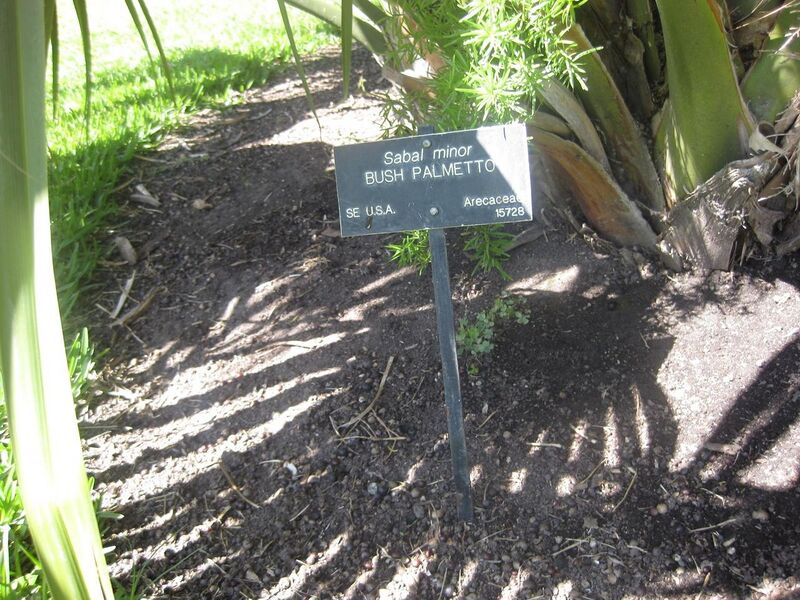 File:1280px-IMG 2116 hunt0903.jpg