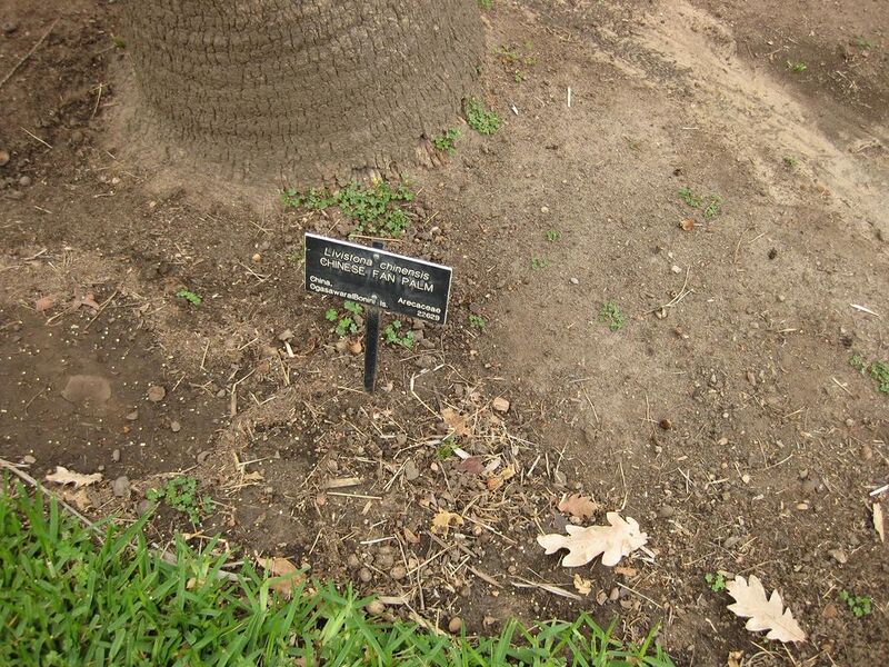File:1024px-IMG 3876 hunt0904.jpg