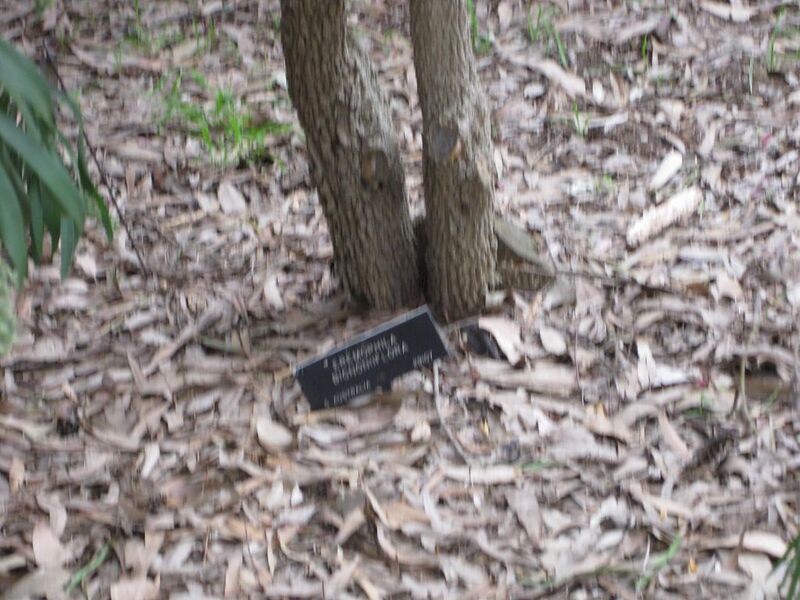File:1024px-IMG 4858 hunt0904.jpg