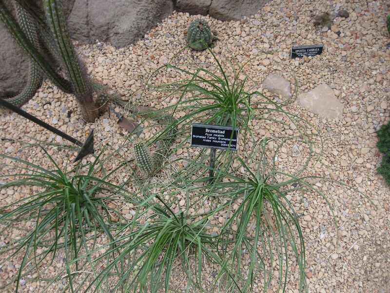 File:1280px-IMG 1302 bbg09.jpg