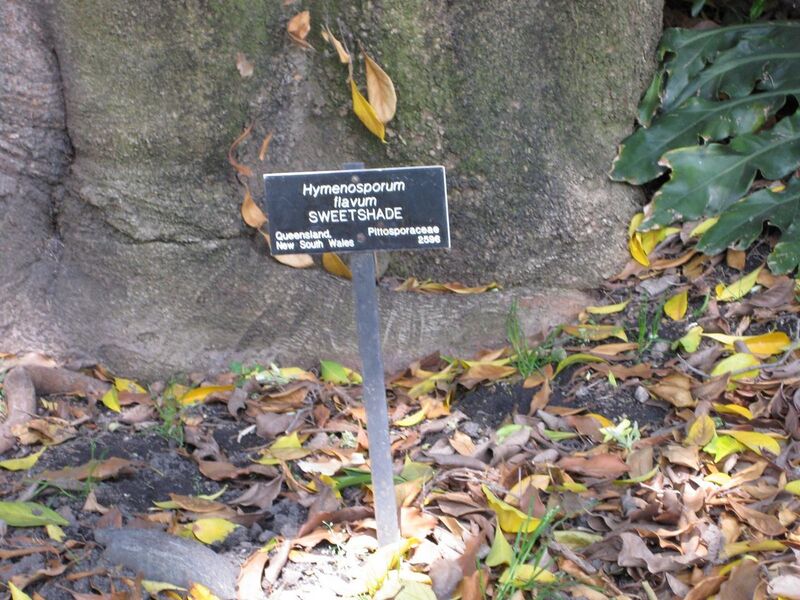 File:1280px-IMG 4181 hunt0904.jpg