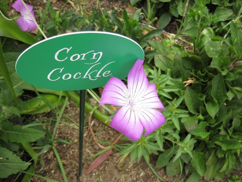 File:1280px-IMG 5188 hunt0904.jpg