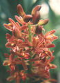 Thumbnail for version as of 09:40, 4 July 2007