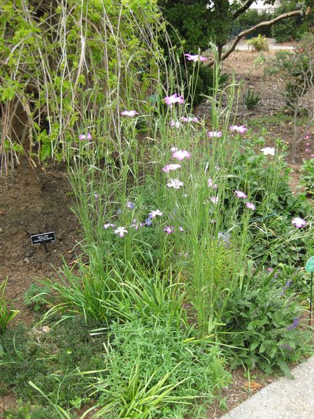 File:IMG 5179 hunt0904.jpg