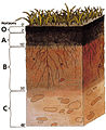 Thumbnail for version as of 09:35, 29 April 2025