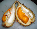 Thumbnail for version as of 10:40, 21 September 2007