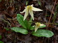 Thumbnail for version as of 22:16, 16 May 2009