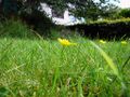 Thumbnail for version as of 09:15, 29 April 2025
