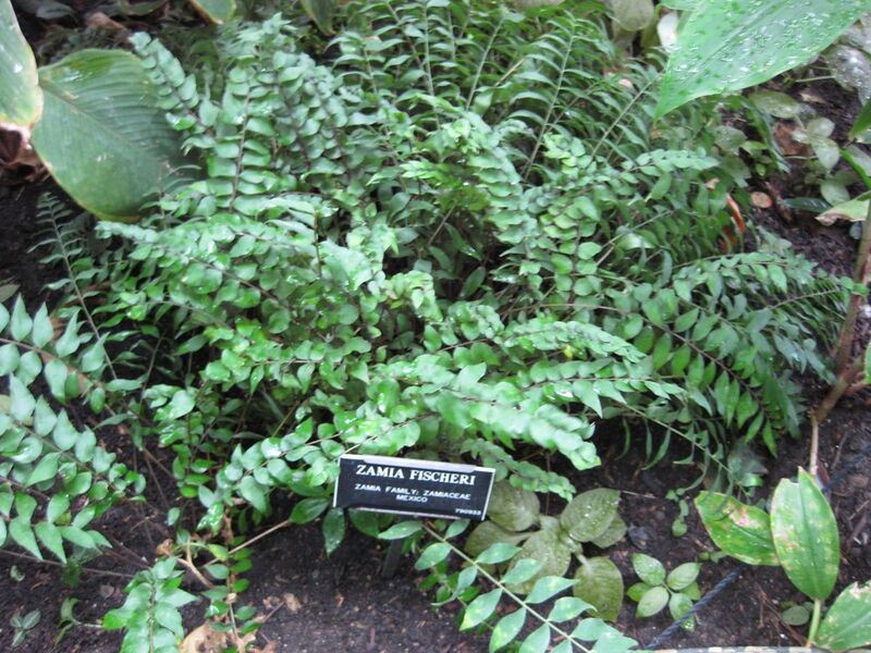 File:1280px-IMG 1086 bbg09.jpg