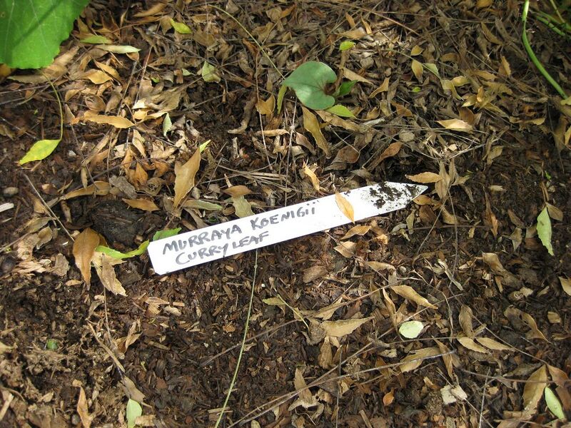 File:1280px-IMG 5337 hunt0904.jpg