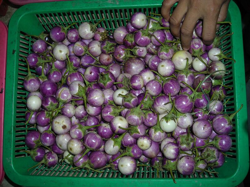 File:1280px-Makhuea - Thai eggplant.JPG