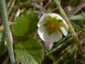 Thumbnail for version as of 10:04, 29 August 2007