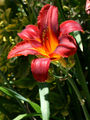 Thumbnail for version as of 03:15, 15 October 2008