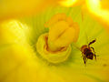 Thumbnail for version as of 09:31, 29 April 2025