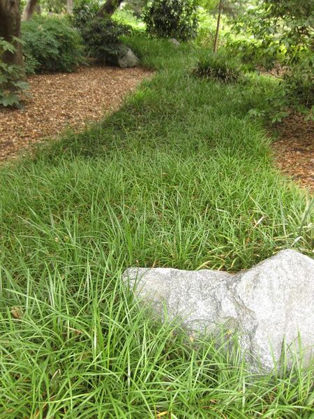 File:576px-IMG 7244 hunt09jun.jpg