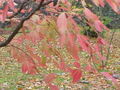 Thumbnail for version as of 09:29, 29 April 2025