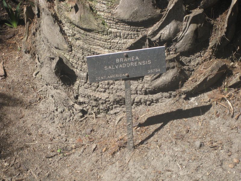 File:IMG 2072 hunt0903.jpg