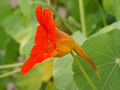 Thumbnail for version as of 06:12, 21 February 2008