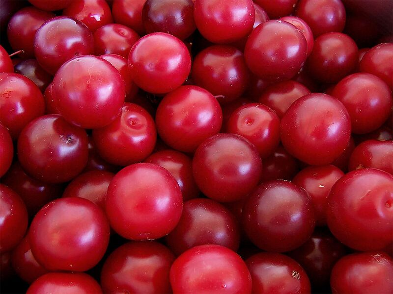 File:1024px-Cherry plums.jpg