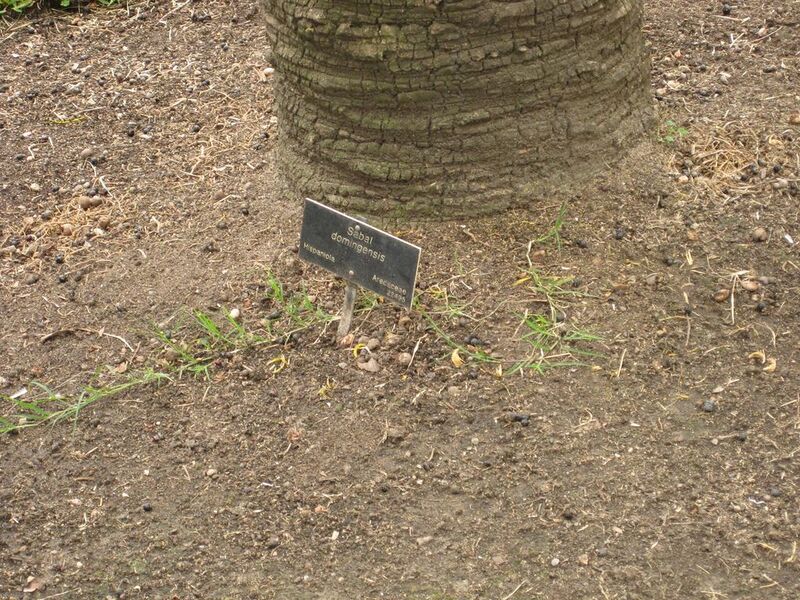 File:1024px-IMG 4042 hunt0904.jpg