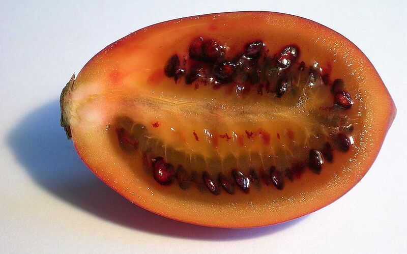 File:1024px-Tamarillo im Schnitt(janek2005).jpg