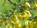 Thumbnail for version as of 14:53, 28 November 2007