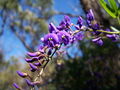 Thumbnail for version as of 19:13, 19 March 2009