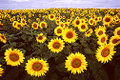 Thumbnail for version as of 12:29, 23 September 2007