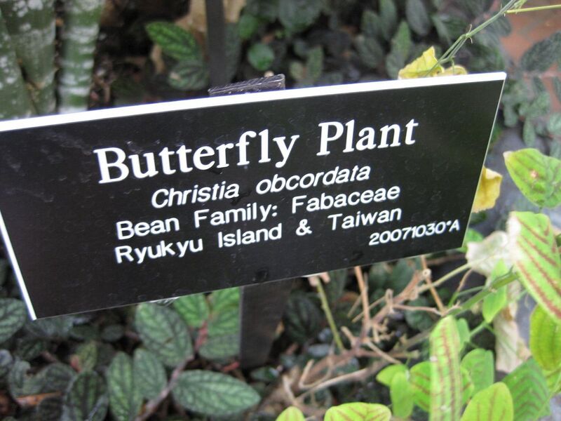 File:1280px-IMG 0970 bbg09.jpg