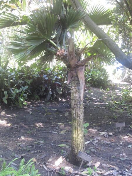 File:576px-IMG 2015 hunt0903.jpg