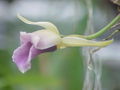 Thumbnail for version as of 05:55, 3 July 2007