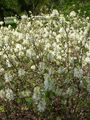 Thumbnail for version as of 09:58, 14 October 2007