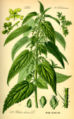 Thumbnail for version as of 11:31, 6 May 2007