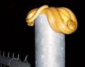 Thumbnail for version as of 12:35, 5 May 2007