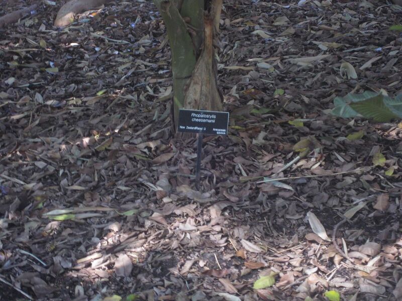 File:1280px-IMG 2040 hunt0903.jpg