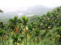 Thumbnail for version as of 12:13, 8 May 2007